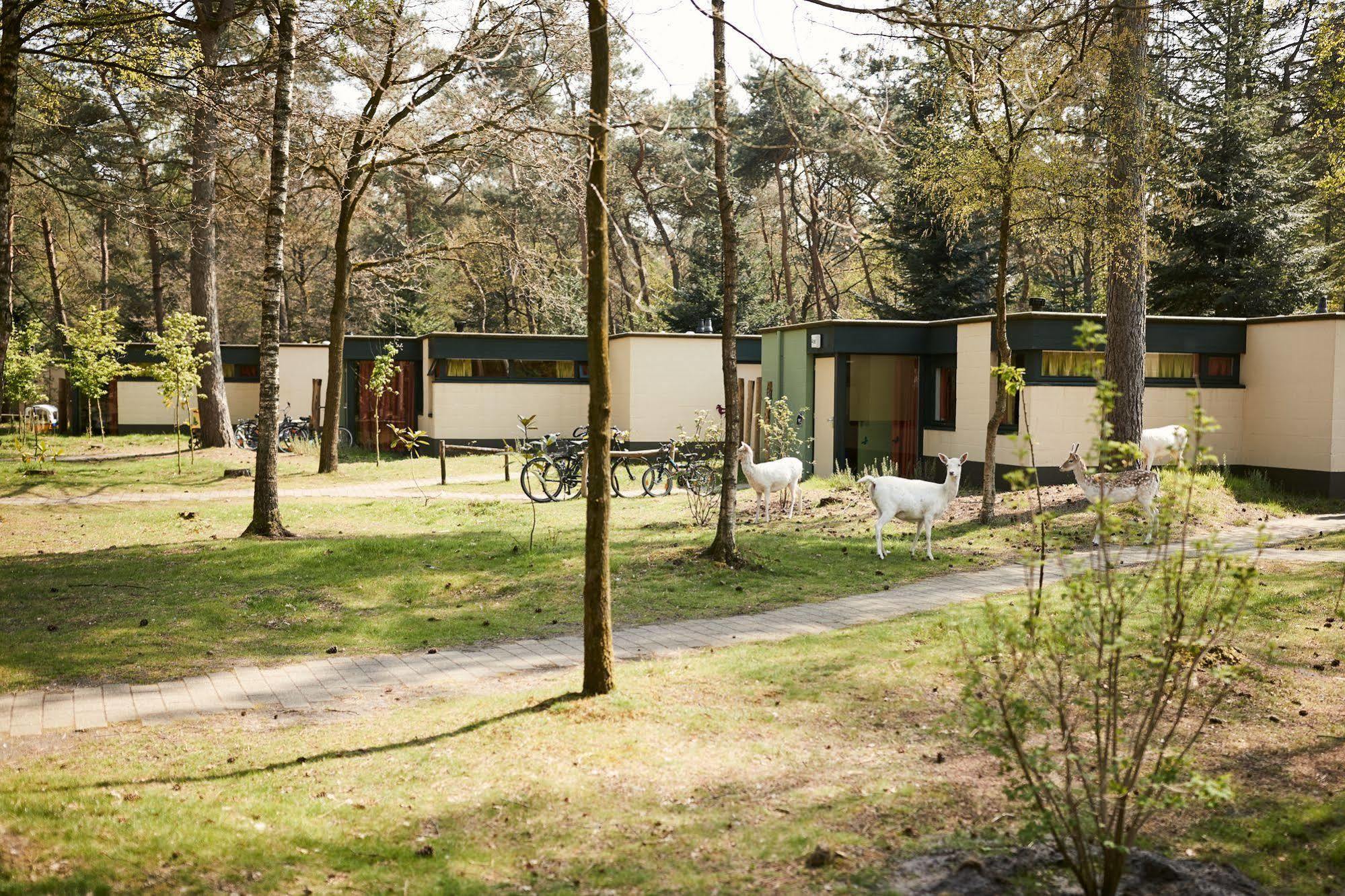 Center Parcs Meerdal Limburg-Brabant America Exterior photo